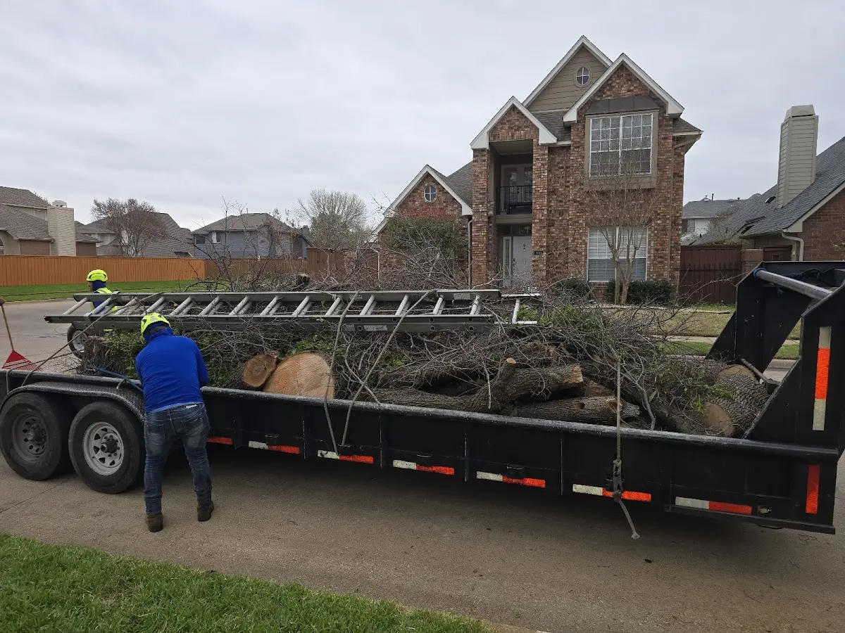 Expert Lot Clearing with proper safety equipment in Mapleville